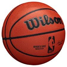 Wilson Basketball